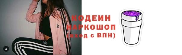 спиды Печоры