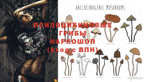 эйфоретик Майский